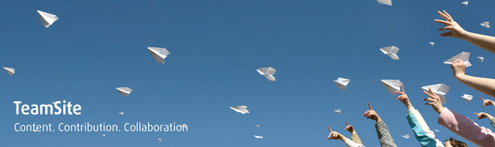 Autonomy Interwoven TeamSite