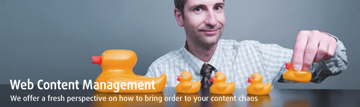 Web Content Management Experts