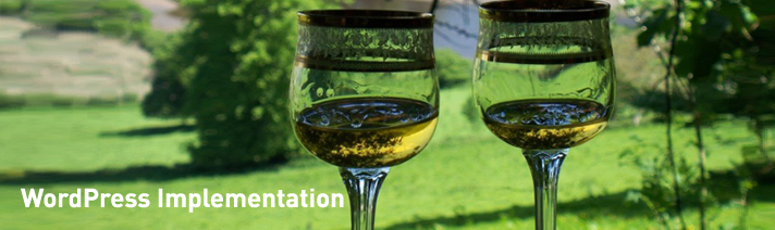 WordPress Implementation